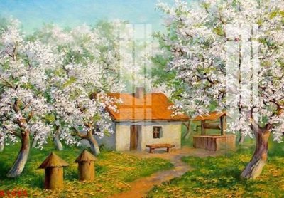 File in trần File gốc in tranh tổng hợp K1665 (bản gốc) bầu trời