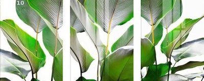 File gốc File gốc in tranh tổng hợp K16710 (thiết kế) độc quyền