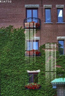 File gốc File gốc in tranh tổng hợp K16732 (cho in ấn) độc quyền