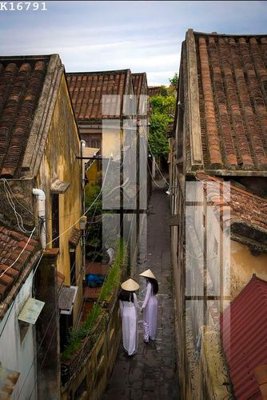 File tranh File gốc in tranh tổng hợp K16791 (gốc) in backlit film