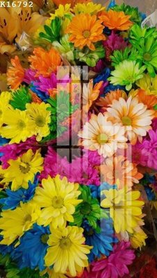 Tải file File gốc in tranh tổng hợp K16792 (gốc) chủ đề hoa sen