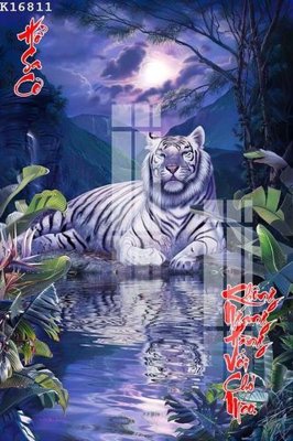 File tranh in mica File gốc in tranh tổng hợp K16811 (độ phân giải cao)