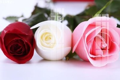 Download file File gốc in tranh tổng hợp K16822 (gốc) in mica ốp bếp