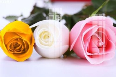 Tải về hình ảnh gốc File gốc in tranh tổng hợp K16837 sắc nét