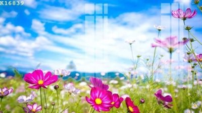 File gốc File gốc in tranh tổng hợp K16839 (cho in ấn) từ Filetranh.com