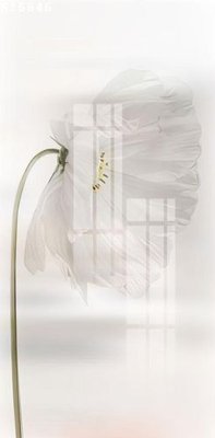 File tranh File gốc in tranh tổng hợp K16846 (gốc) chủ đề con người