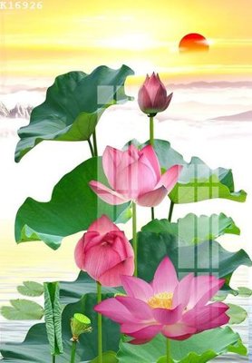 File tranh File gốc in tranh tổng hợp K16926 (ảnh gốc) in trần nhà