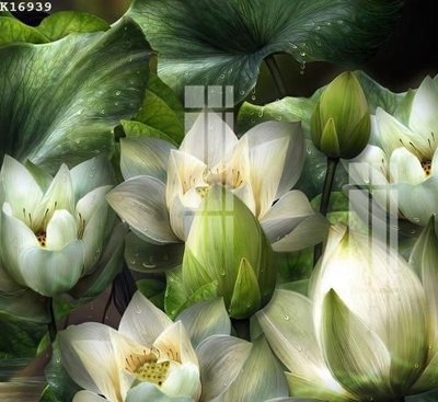 File in trần File gốc in tranh tổng hợp K16939 (bản gốc) bầu trời