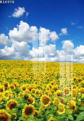 Download file gốc File gốc in tranh tổng hợp K16976 (dùng cho in ấn)