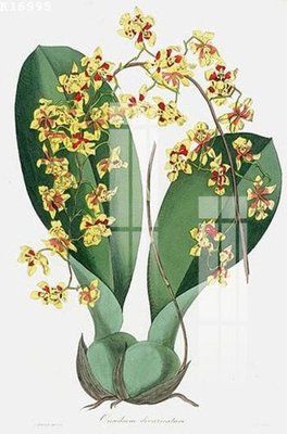 File gốc File gốc in tranh tổng hợp K16995 (in lụa) tranh thuận buồm