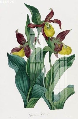 File ảnh File gốc in tranh tổng hợp K16996 (gốc) in quảng cáo ngoài trời