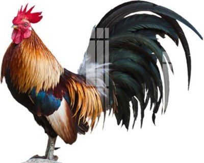 File PSD File gốc in tranh tổng hợp K17046 (bản gốc) đã tách nền