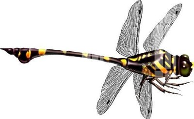 Mua file ảnh gốc File gốc in tranh tổng hợp K17052 (chất lượng cao)