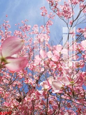 Tải file File gốc in tranh tổng hợp K1723 (PSD) cho in tranh 3D