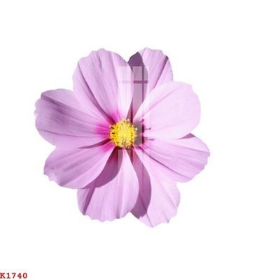 File ảnh File gốc in tranh tổng hợp K1740 (gốc) in standee