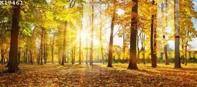 File tranh File gốc in tranh tổng hợp K17461 (ảnh gốc) in trần xuyên sáng