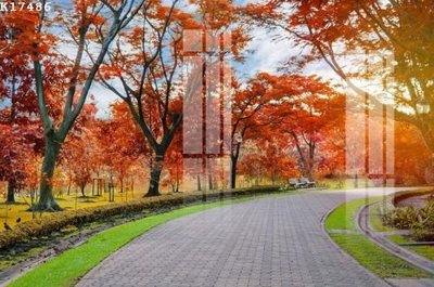 File in trần File gốc in tranh tổng hợp K17486 (file gốc) xuyên sáng