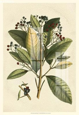 File tranh in mica File gốc in tranh tổng hợp K17655 (độ phân giải cao)