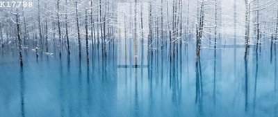 File in ấn File gốc in tranh tổng hợp K17788 chuyên nghiệp