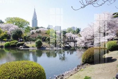 Mua file ảnh gốc File gốc in tranh tổng hợp K17851 (chất lượng cao)