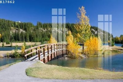 File tranh File gốc in tranh tổng hợp K17862 (gốc) chủ đề thành phố