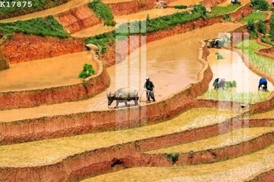 File gốc in ấn File gốc in tranh tổng hợp K17875 độ phân giải cao