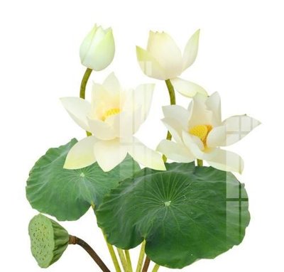 File gốc File gốc in tranh tổng hợp K17924 (cho in 3D) độc đáo