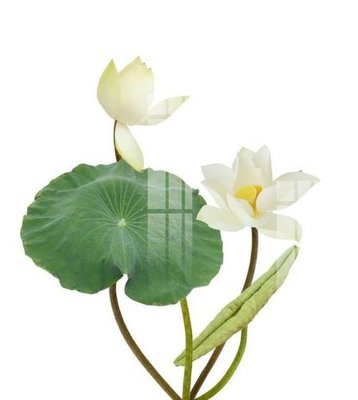 Tải file gốc File gốc in tranh tổng hợp K17941 (bản PSD) đầy đủ layer