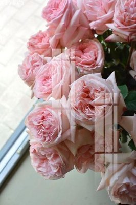 Download file File gốc in tranh tổng hợp K17963 (gốc) in mica ốp bếp