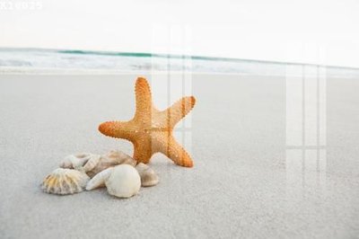 File in trần File gốc in tranh tổng hợp K18025 (bản gốc 3D) sống động