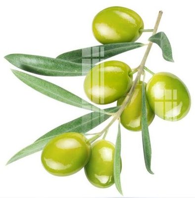 File in trần File gốc in tranh tổng hợp K18118 (bản gốc) hoa văn