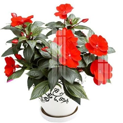 File ảnh File gốc in tranh tổng hợp K18233 (gốc) dùng in Pano