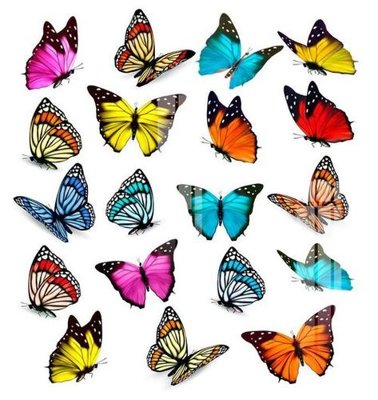 File in ấn File gốc in tranh tổng hợp K18511 (bản gốc) sắc nét