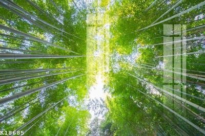 File gốc in tráng gương File gốc in tranh tổng hợp K18685 chi tiết