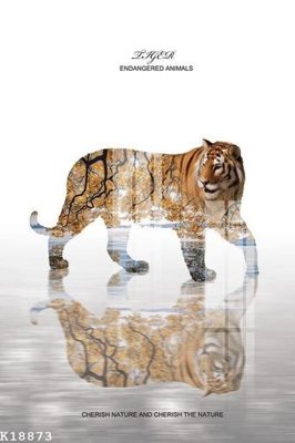 File tranh File gốc in tranh tổng hợp K18873 (ảnh gốc) in trần nhà