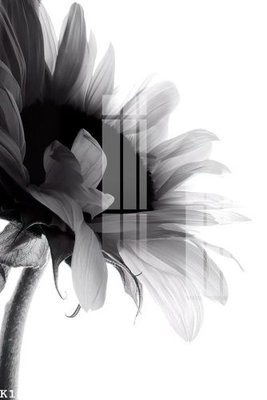 File PSD File gốc in tranh tổng hợp K18900 (bản gốc) chất lượng nhất