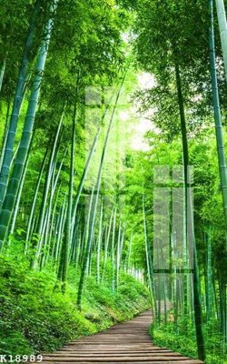 File ảnh File gốc in tranh tổng hợp K18989 (gốc) in poster