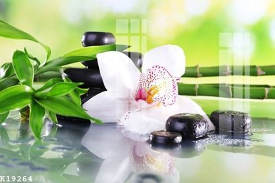 File ảnh File gốc in tranh tổng hợp K19264 (gốc) cho trang trí nội thất