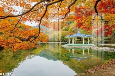 File ảnh File gốc in tranh tổng hợp K19333 (gốc) in biển hiệu