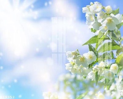 Tải file File gốc in tranh tổng hợp K19352 (ảnh gốc) in gạch 3D