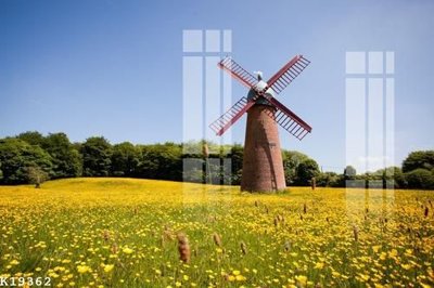 File PSD File gốc in tranh tổng hợp K19362 (bản gốc) cho nhà in