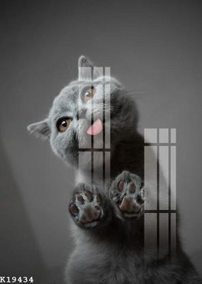 File gốc in tráng gương File gốc in tranh tổng hợp K19434 chi tiết