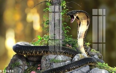 Tải file File gốc in tranh tổng hợp K19438 (gốc) in nhanh