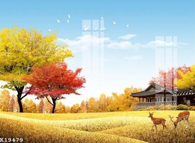 Tải file gốc File gốc in tranh tổng hợp K19479 (bản PSD) gốc