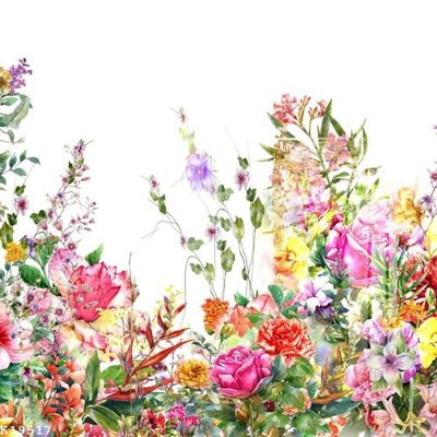 File tranh File gốc in tranh tổng hợp K19517 (ảnh gốc) in trần nhà