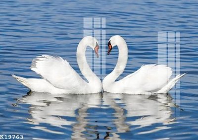 File tranh File gốc in tranh tổng hợp K19763 (gốc) chủ đề tĩnh vật