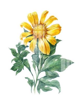 File gốc File gốc in tranh tổng hợp K20106 (in tráng gương) ốp tường