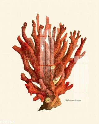 File PSD File gốc in tranh tổng hợp K20163 (bản gốc) đã tách nền