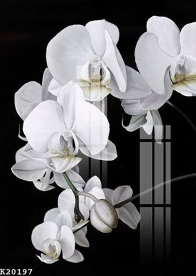 File gốc File gốc in tranh tổng hợp K20197 (ảnh rõ nét) để in