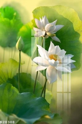 File tranh in mica File gốc in tranh tổng hợp K20308 (độ phân giải cao)